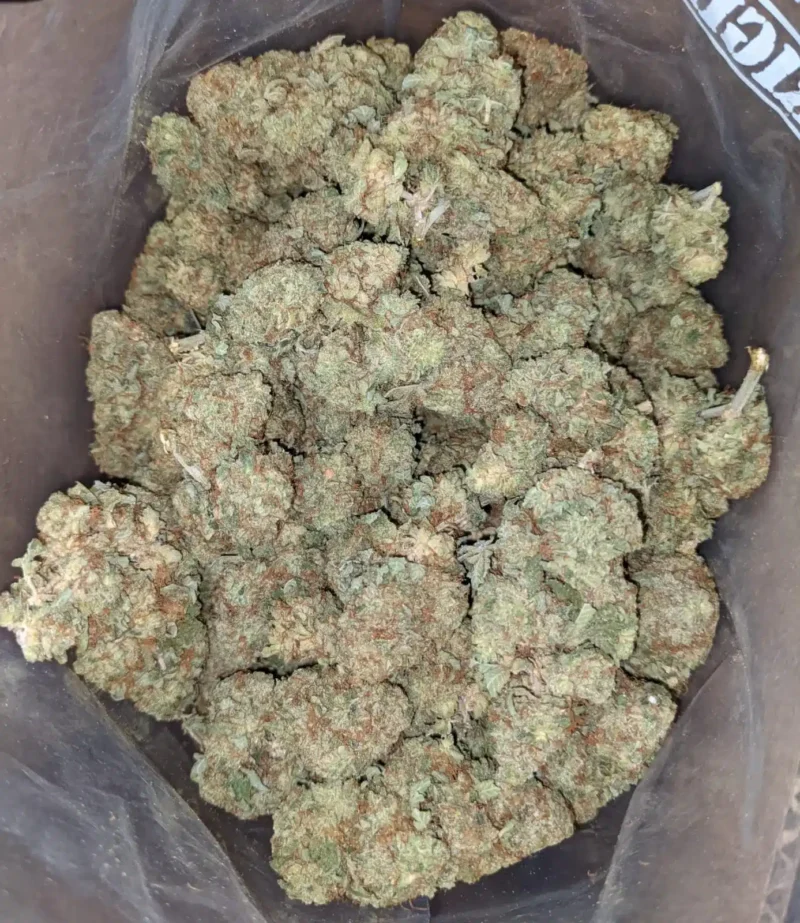 Rocket Fuel - Image 6
