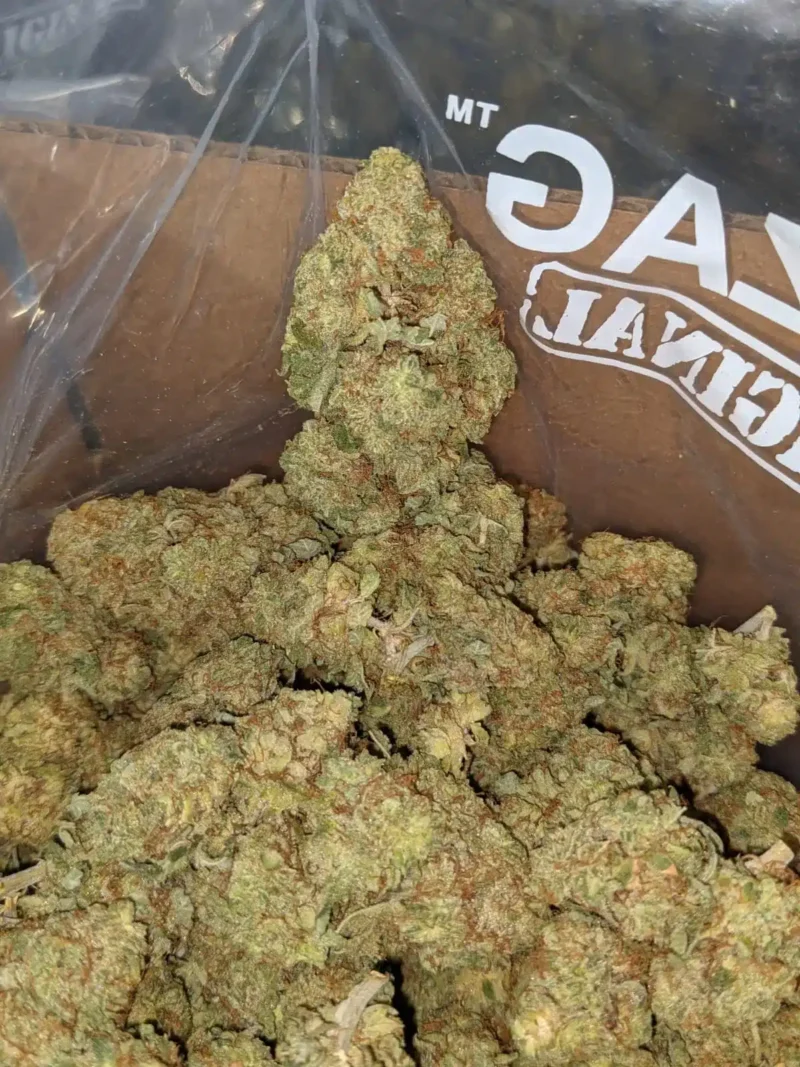 Rocket Fuel - Image 5