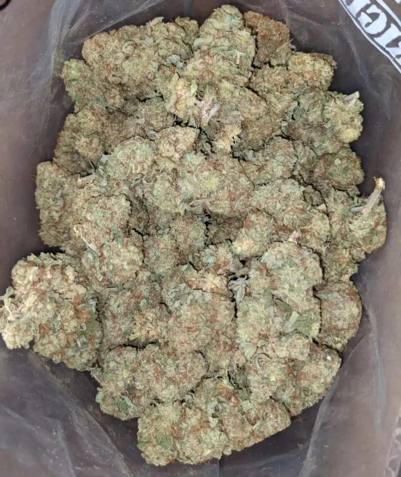 Rocket Fuel - Image 7