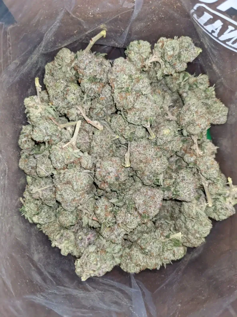 Rockstar AAA - Image 5