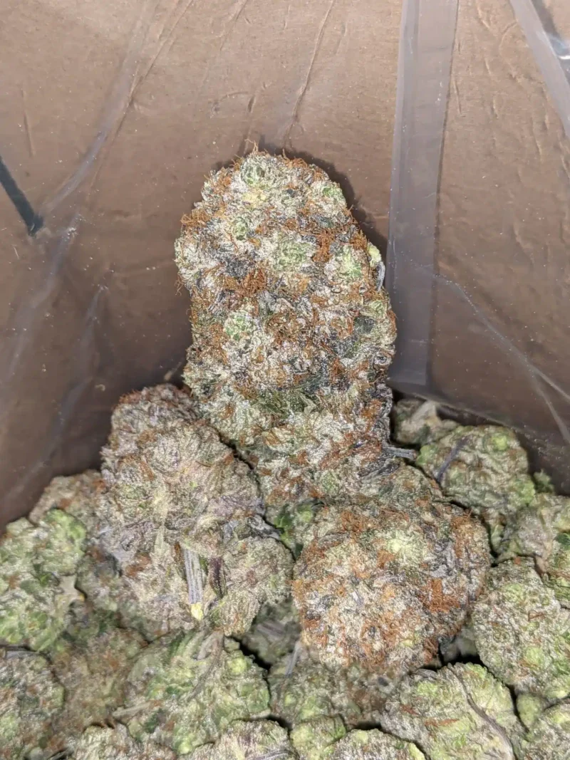 Rockstar Tuna - Image 5