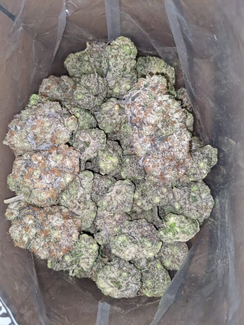 Rockstar Tuna - Image 4