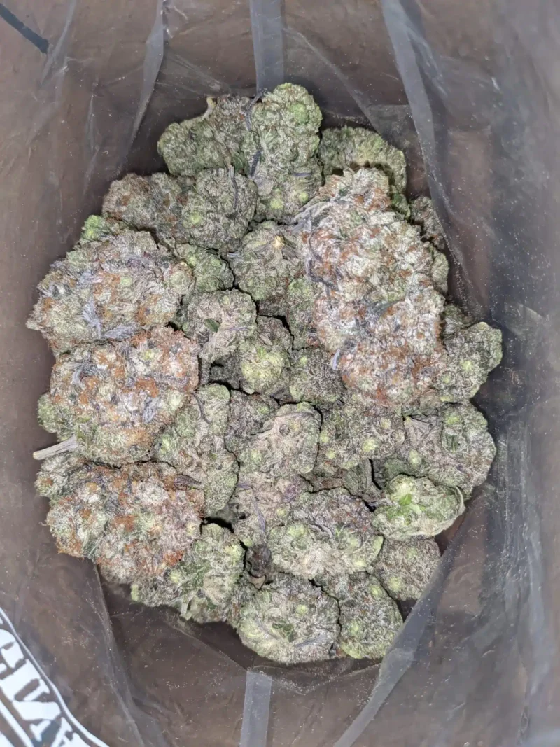 Rockstar Tuna - Image 7