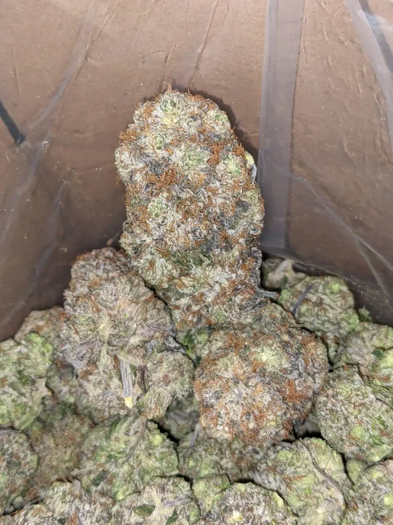 Rockstar Tuna - Image 6
