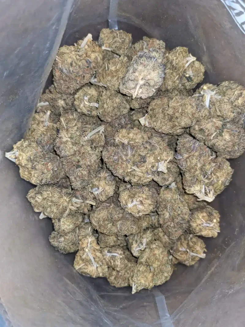 Runtz Bulk Special - Image 5
