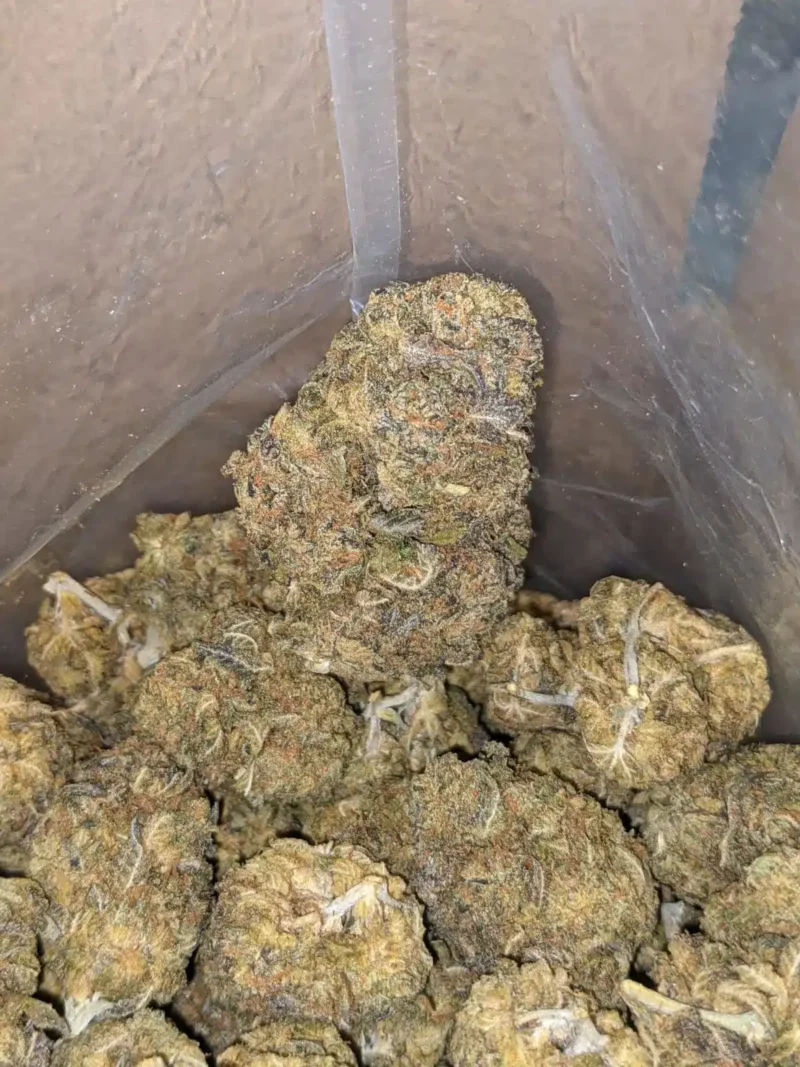 Runtz Bulk Special - Image 6