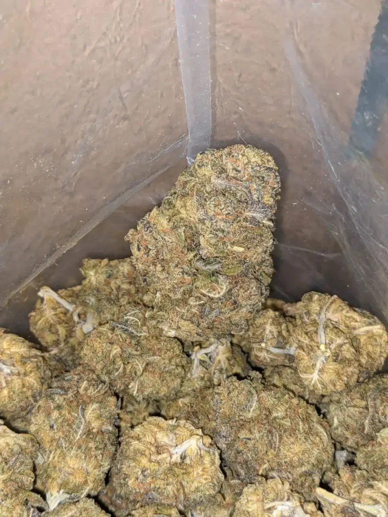 Runtz Bulk Special - Image 7