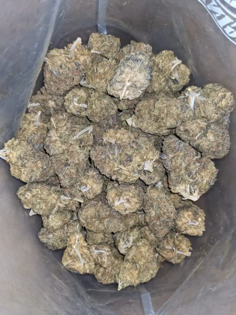 Runtz Bulk Special - Image 4
