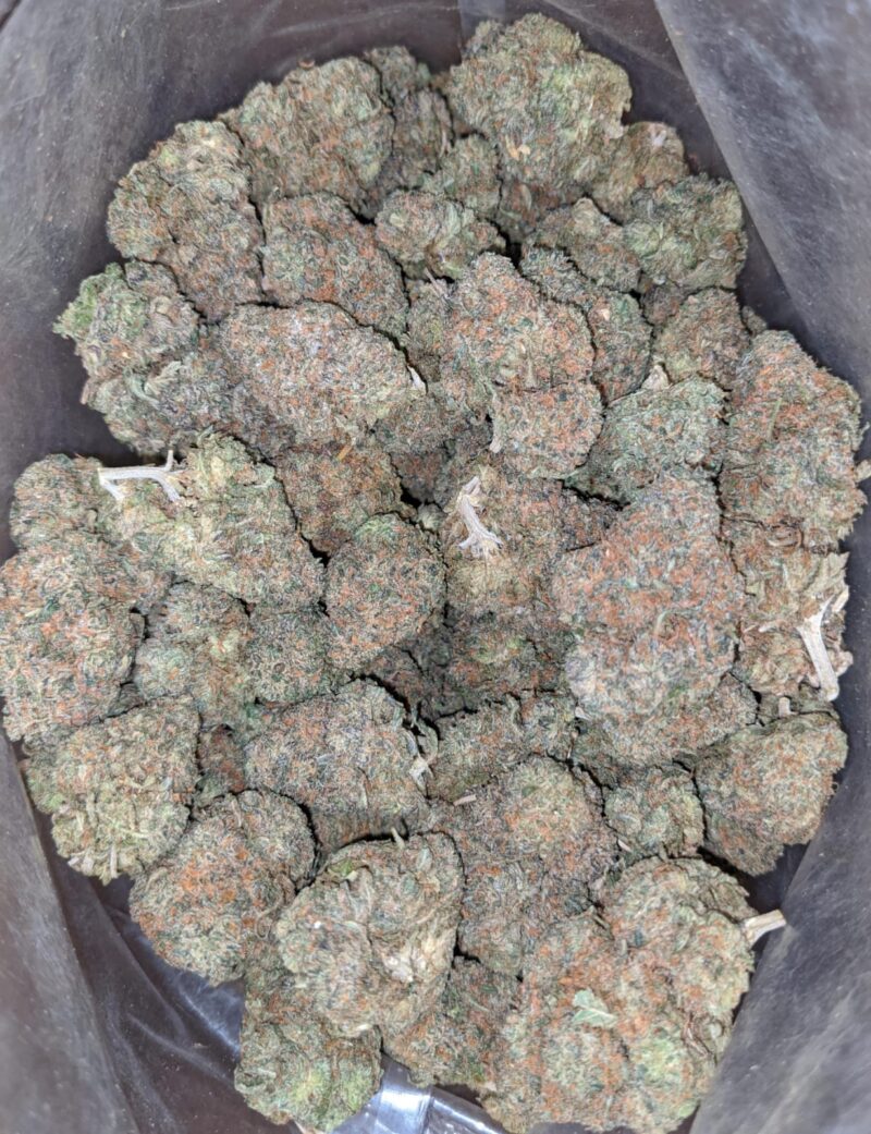 Runtz OG - Image 4