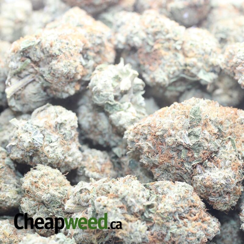 Sage N’ Sour - Image 3