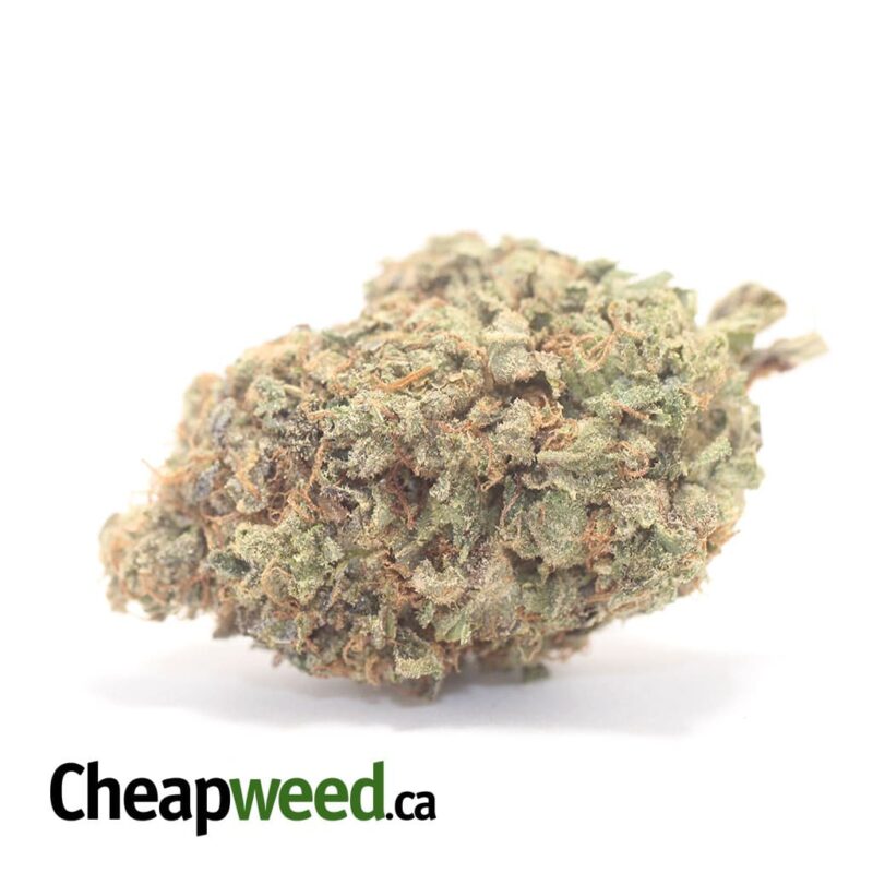 Strawberry Amnesia