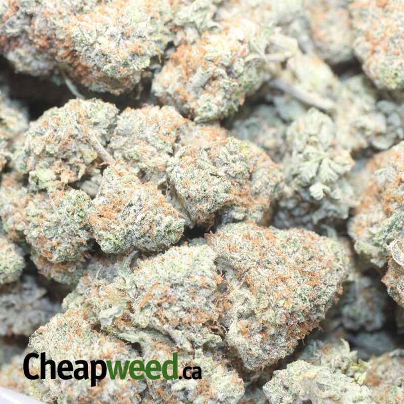 Strawberry Cream - Image 3