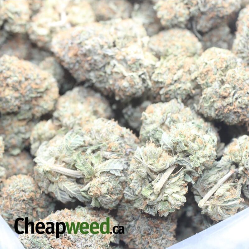 SFV OG - Image 3
