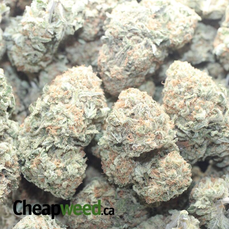 Sherbert #2 - Image 3