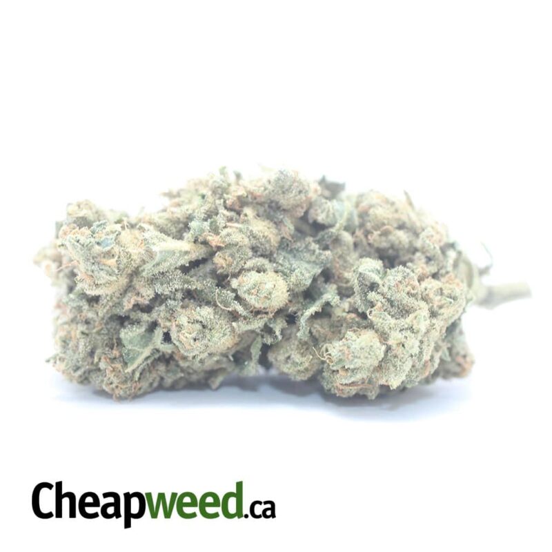 Sherbet
