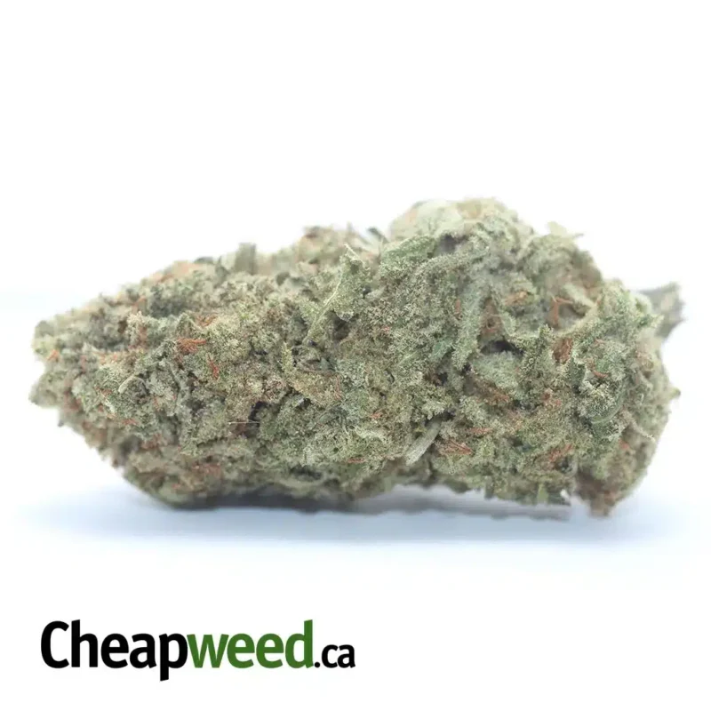 Sherbert