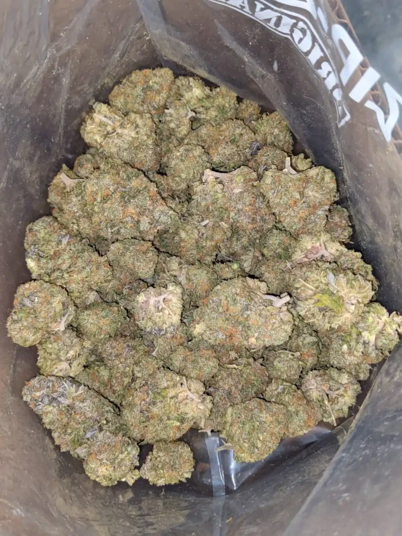 Shishkaberry