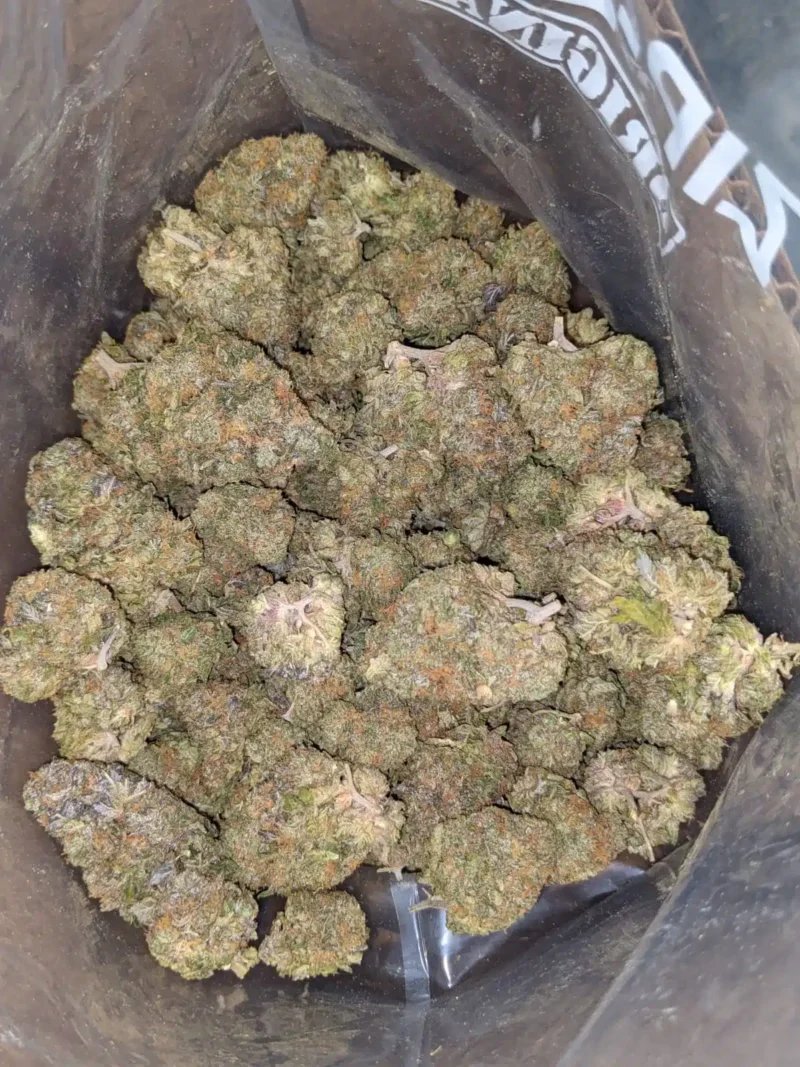 Shishkaberry - Image 4