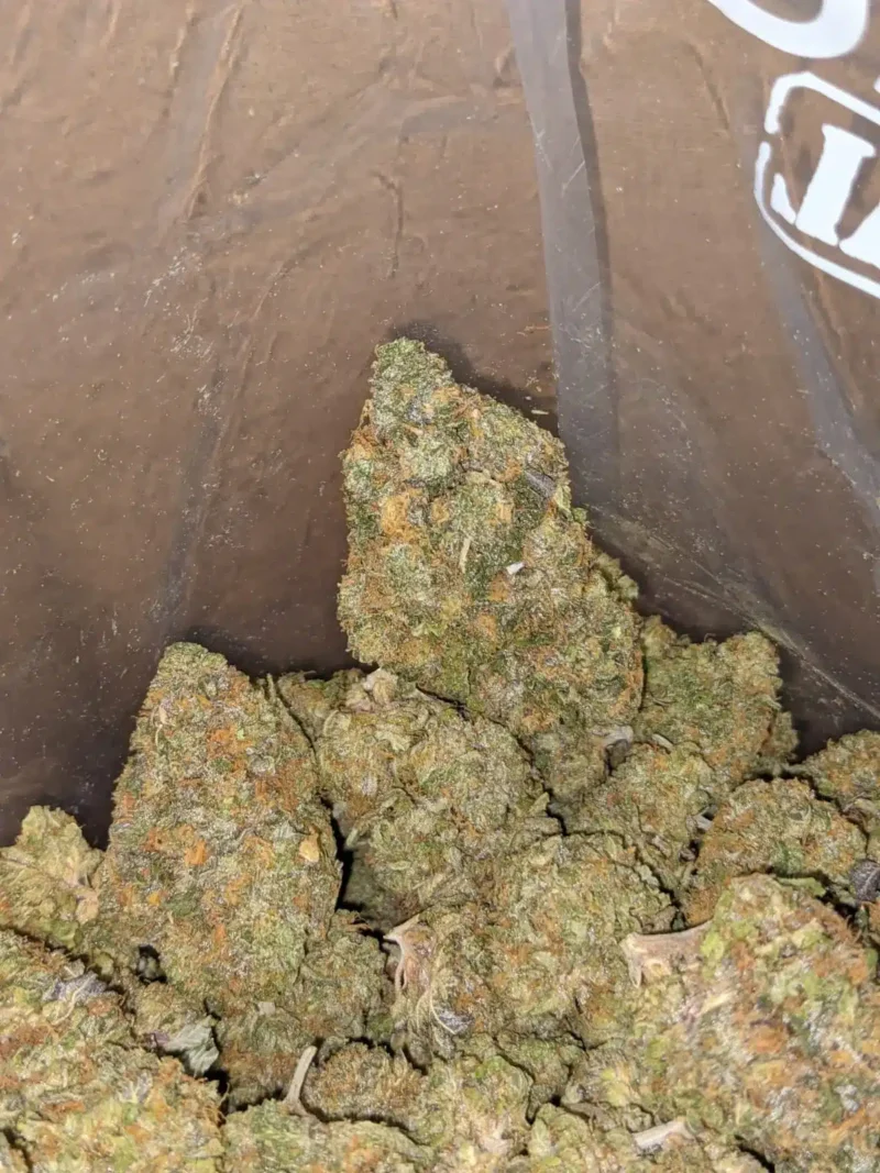 Shishkaberry - Image 5