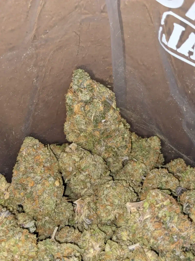 Shishkaberry - Image 3