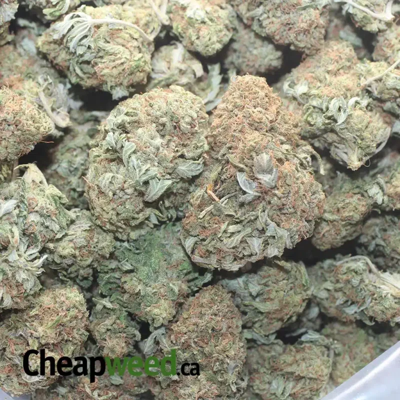 Silver Haze - Image 3