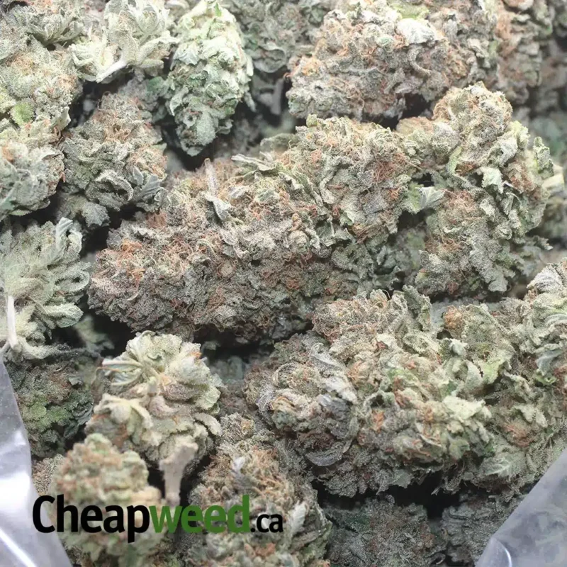 Silver Kush - Image 3