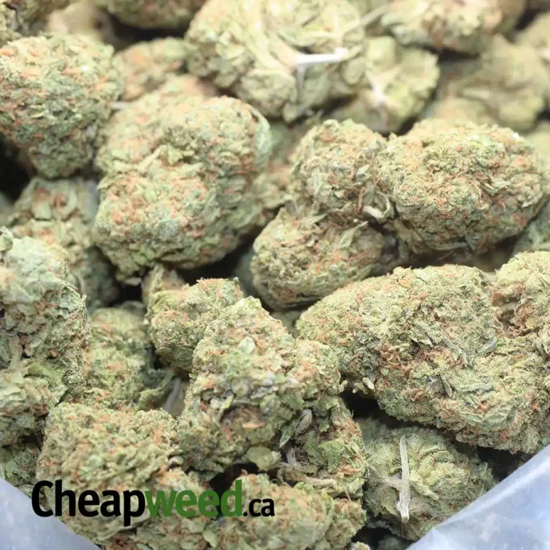 Skunk OG - Image 3