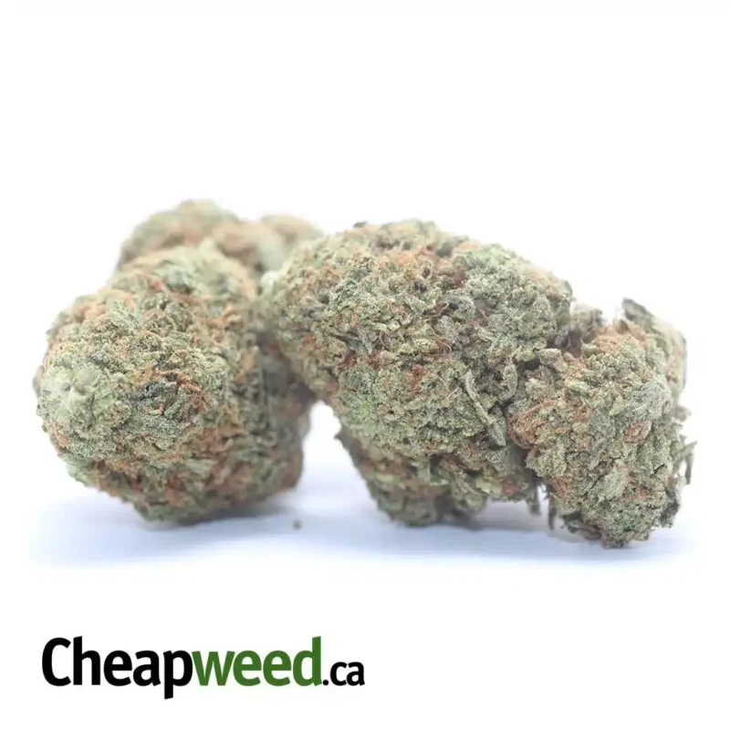 Skunk OG - Image 2