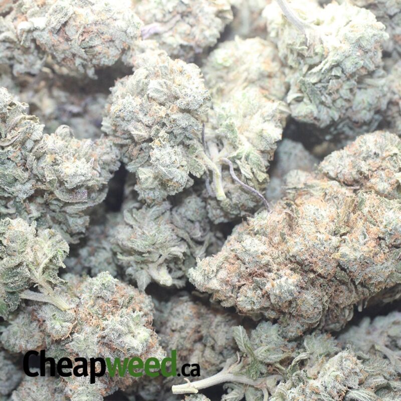 Skywalker - Image 3