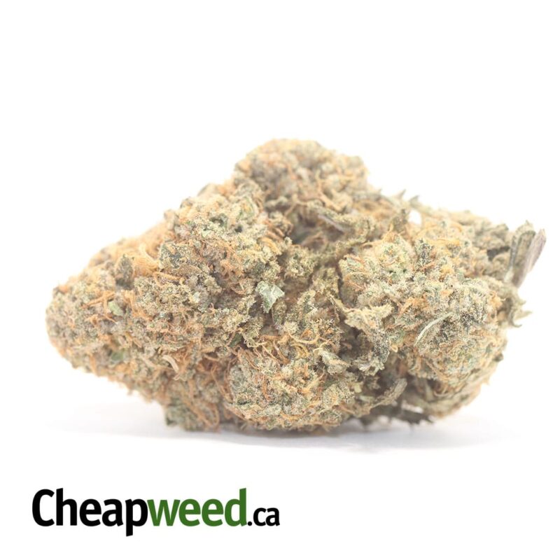 Super Lemon Haze