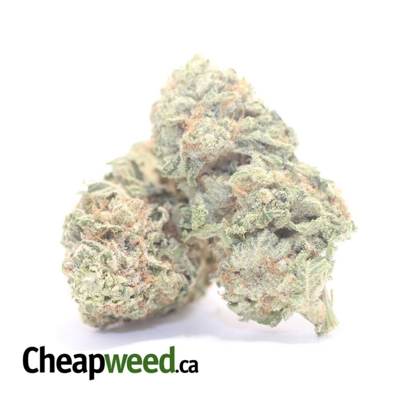 Scout Master Cookies - Image 2