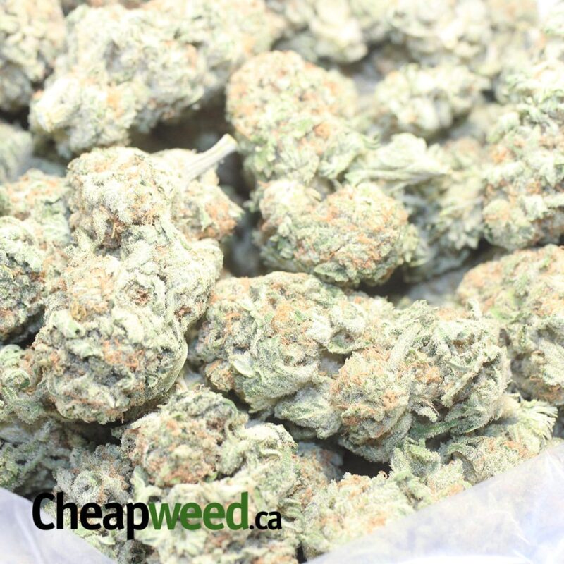 Scout Master Cookies - Image 3