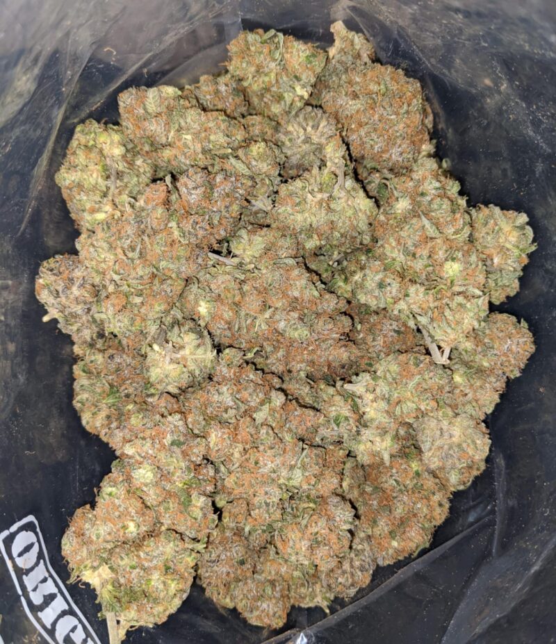 Sour Angel