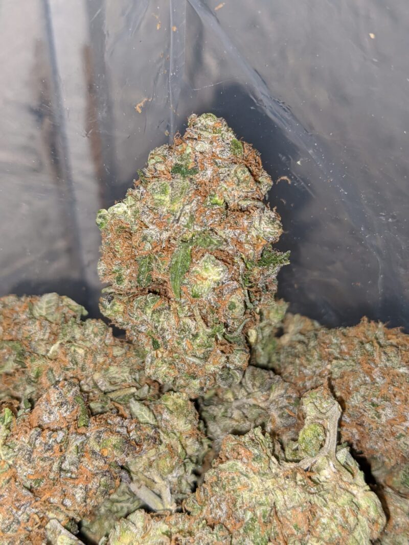 Sour Angel - Image 2