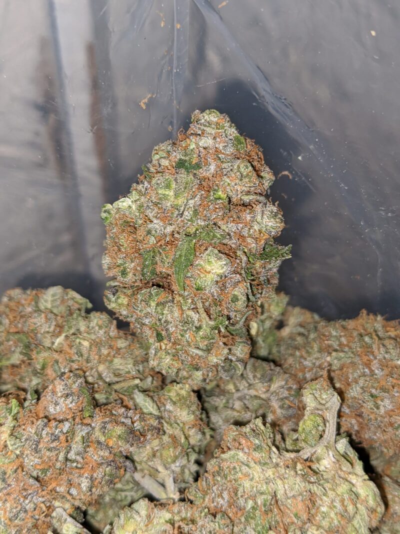 Sour Angel - Image 5
