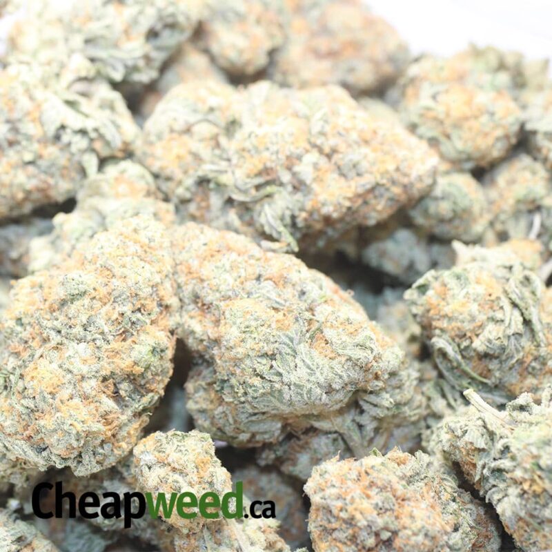 Sour OG - Image 3