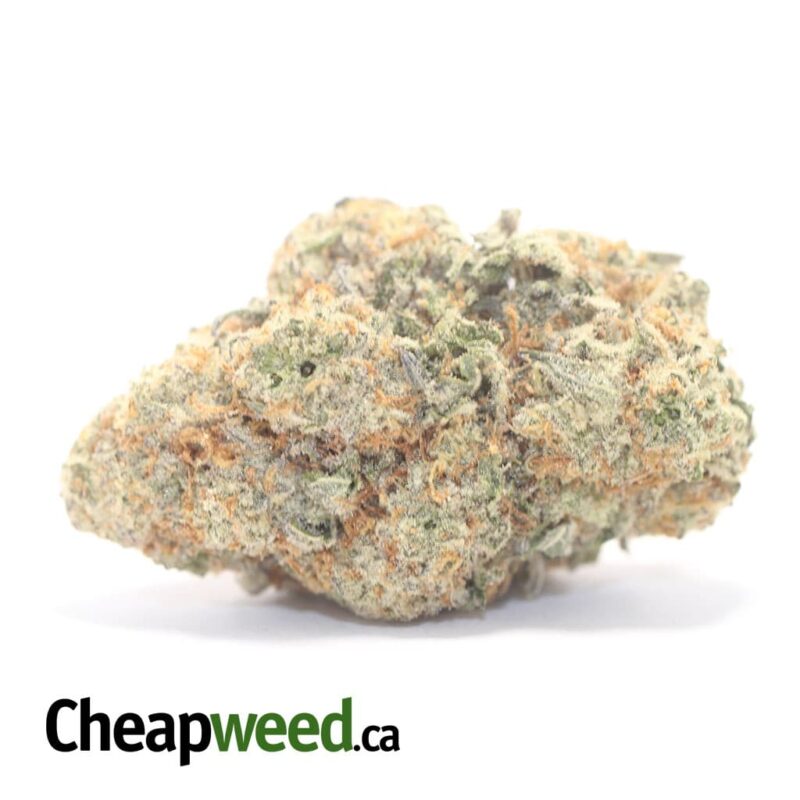 Sour OG