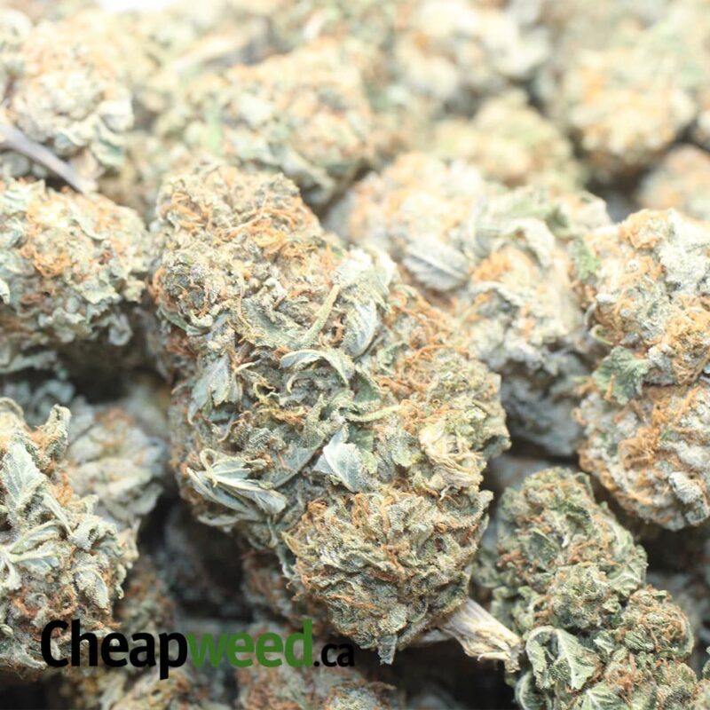 Sour OG Kush - Image 3