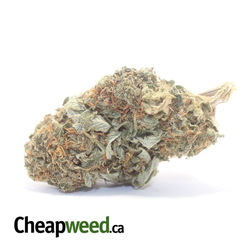 Sour OG Kush