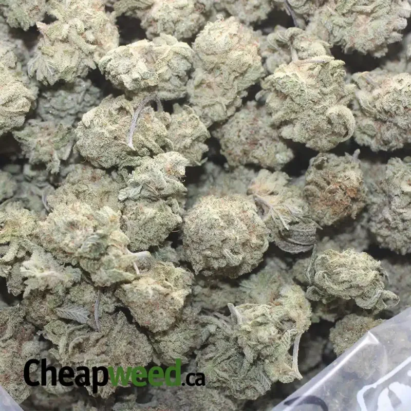 Space Cookies - Image 3
