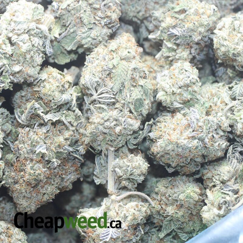 Space Zkittles - Image 3