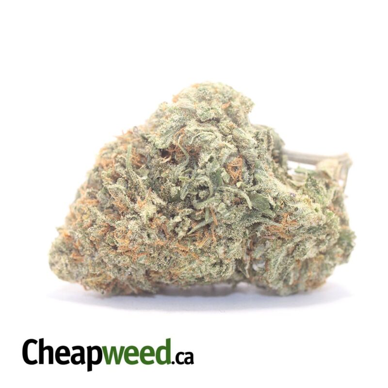 Sticky Icky