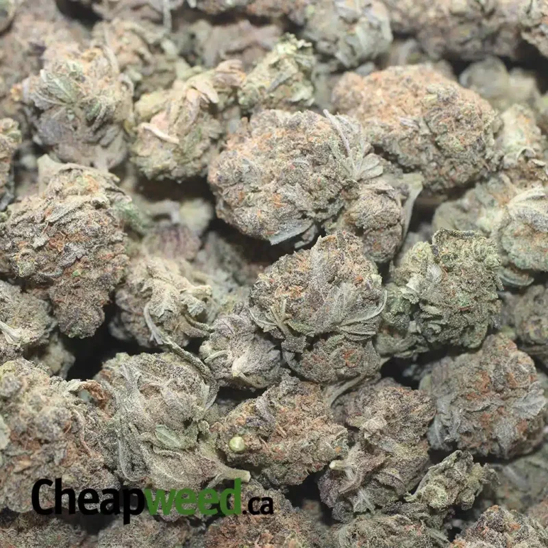 Stinky Bubba - Image 3