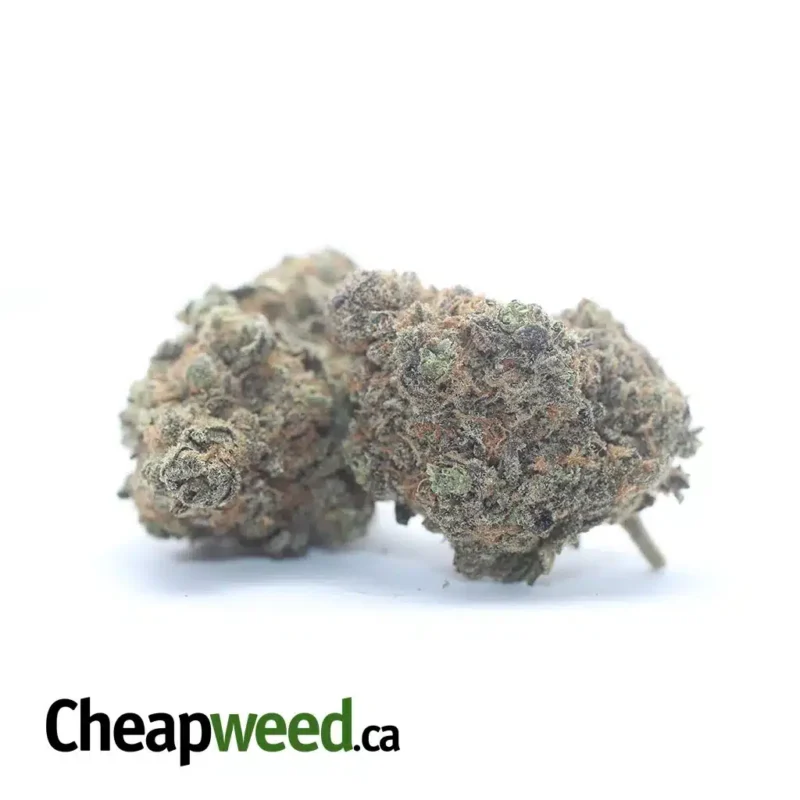 Stinky Bubba - Image 2