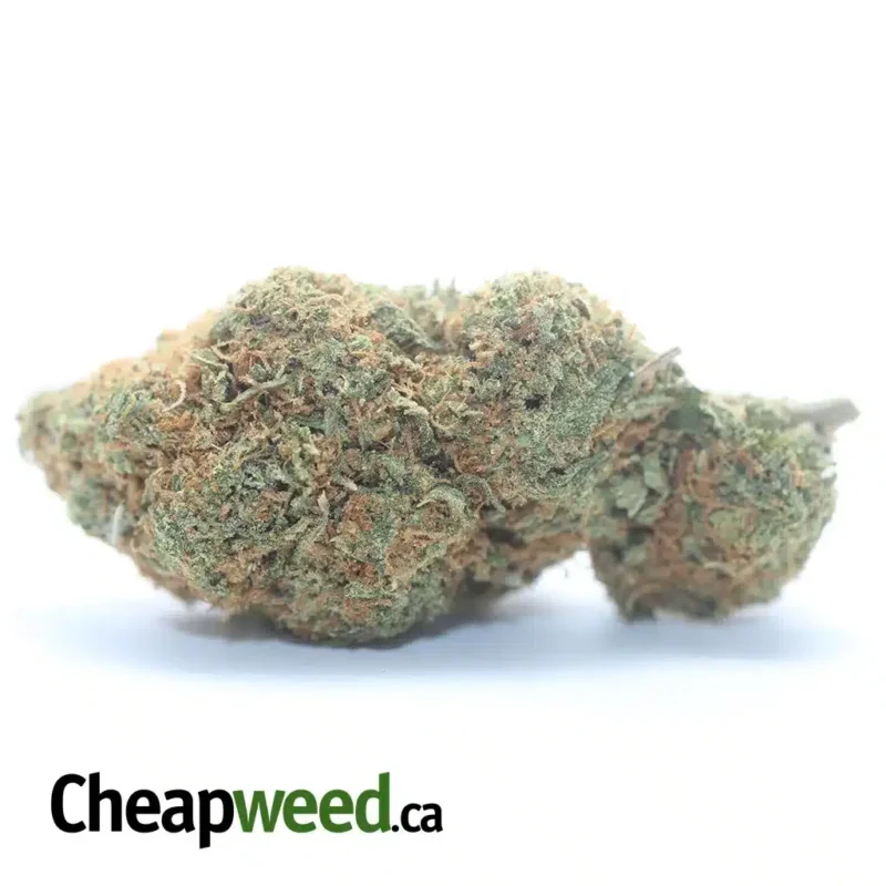 Strawberry Cough