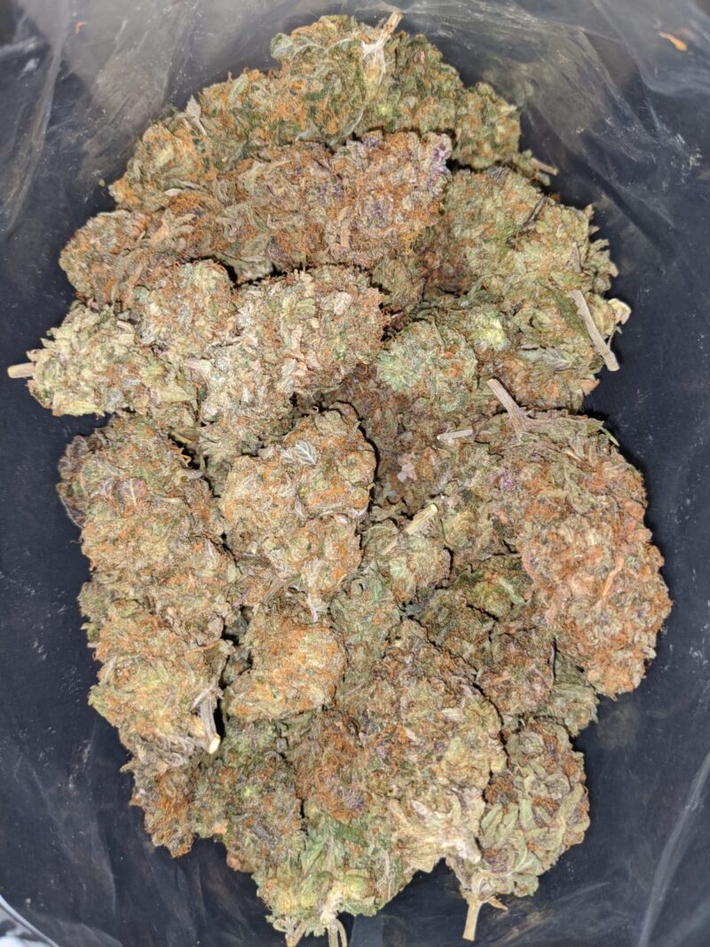 Strawberry Jerry – *Deal Of The Day* - Image 4