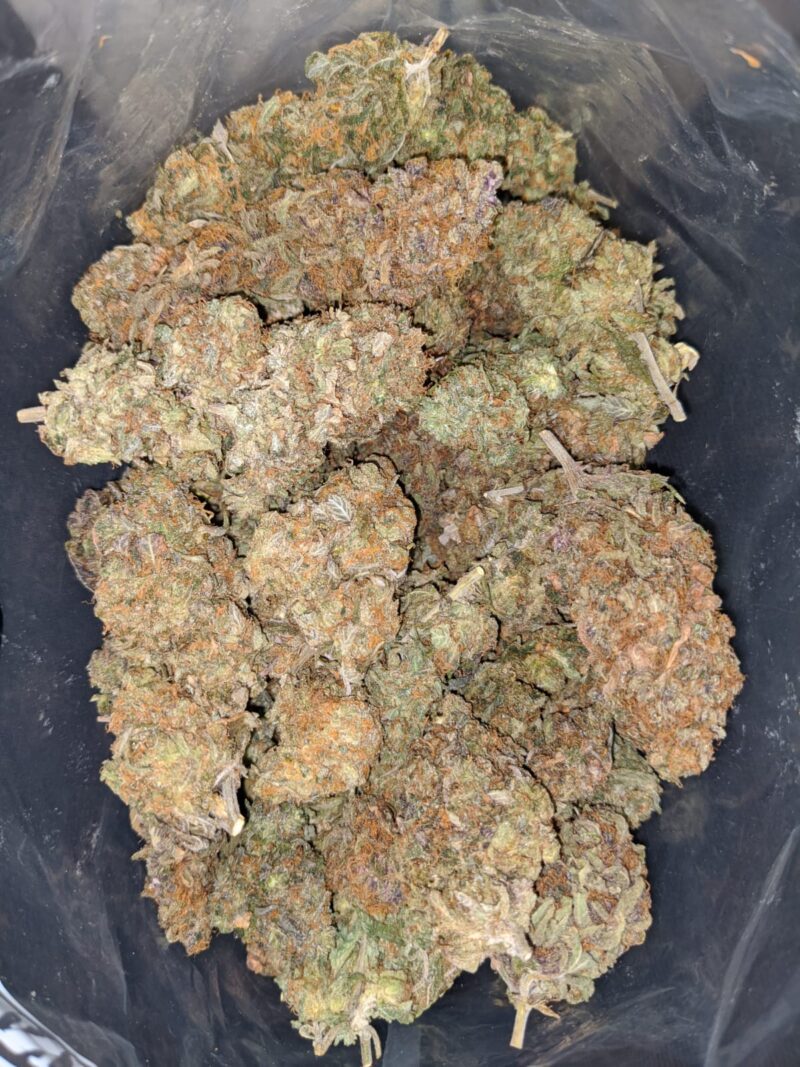 Strawberry Jerry – *Deal Of The Day*