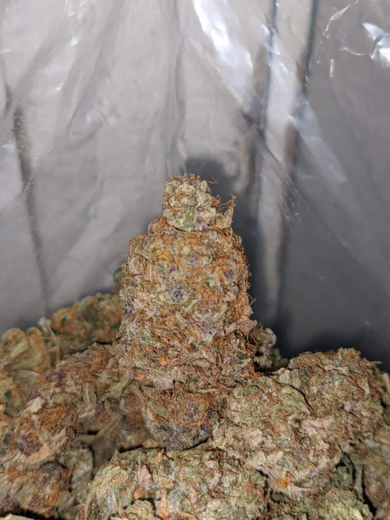 Strawberry Jerry – *Deal Of The Day* - Image 2