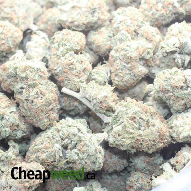Sunset Sherbert - Image 3