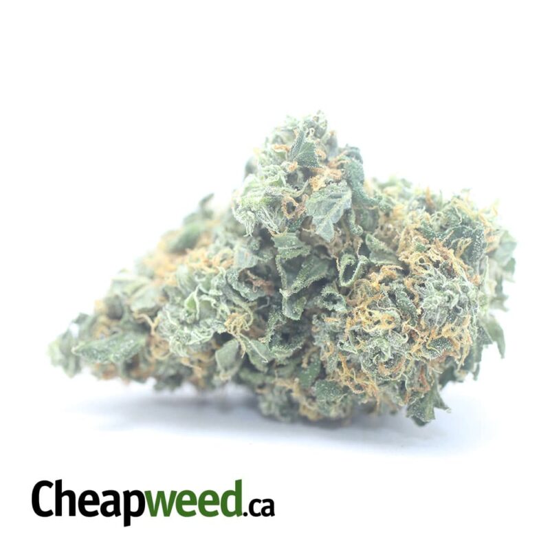 $ 46 Oz – Super Pink
